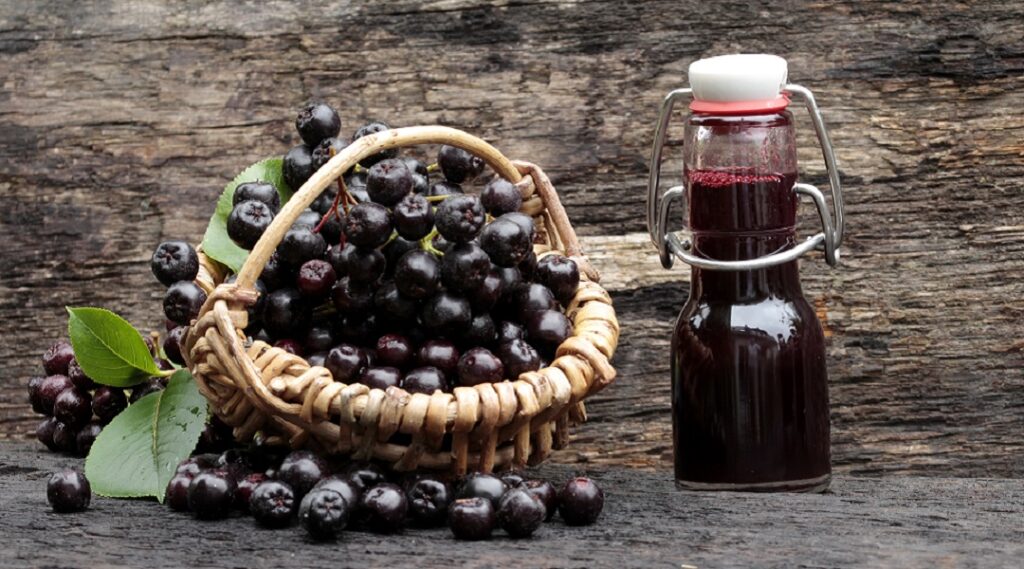 Aroniasaft, Superfood, Erbährung mit Stoma