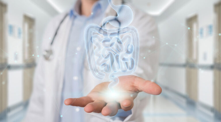Gastroenterologie bei der GHD, Gastroenterologie