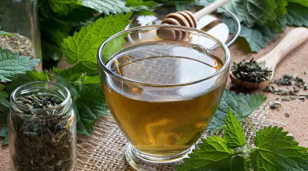 Brennesseltee bei Blasenentzündung