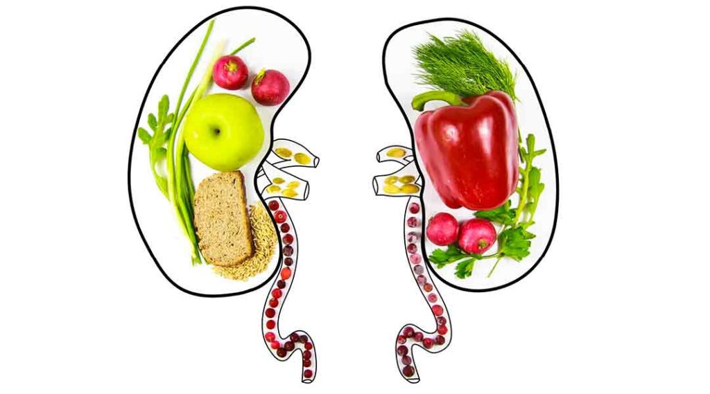 Nephrologischer Ernährungsmanager