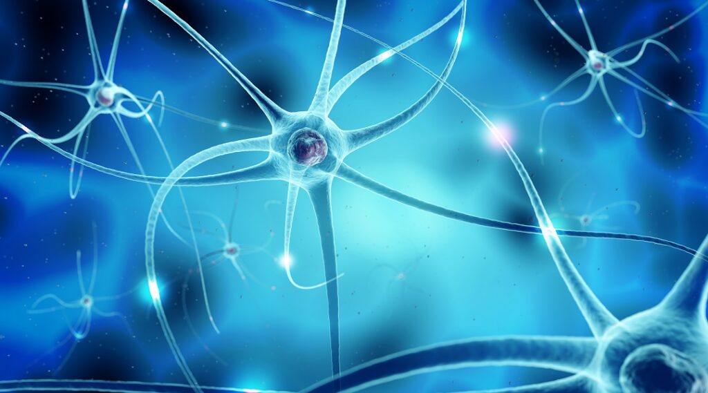 neurogene Blasenfunktionsstörungen